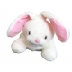 Bouillotte Peluche Lapin