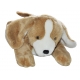 Bouillotte Peluche Chien