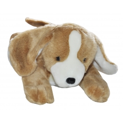 Bouillotte Peluche Chien