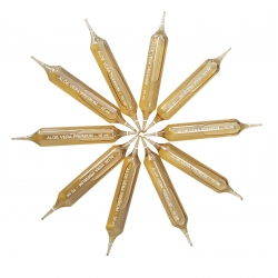 Aloe Vera Ampoules Bio